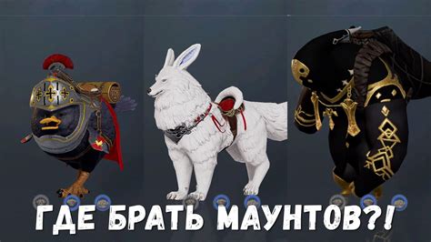 Улучшение взаимодействия с ездовым животным в королевстве пришествия искупления