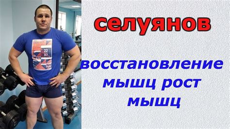 Улучшение восстановления и рост мышц