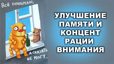 Улучшение памяти, внимания и концентрации