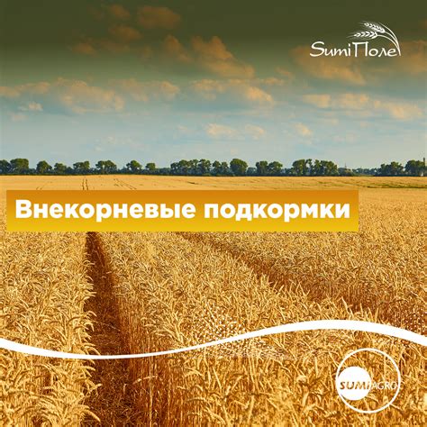 Улучшение питательной среды: роль удобрений и подкормок