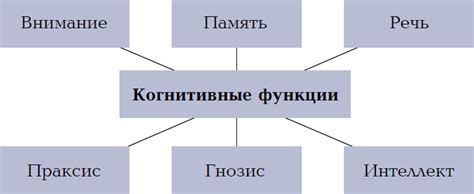 Улучшение функций мозга и повышение когнитивных способностей