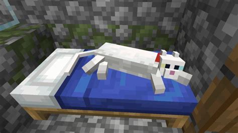 Улучшите свою способность распознавать домашних питомцев в мире Minecraft