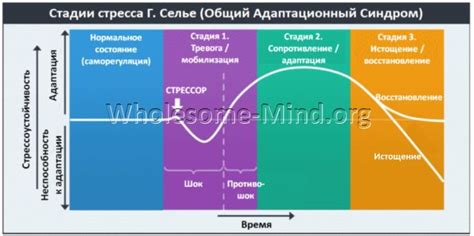 Уменьшение уровня стресса: психологический подход к регуляции аппетита