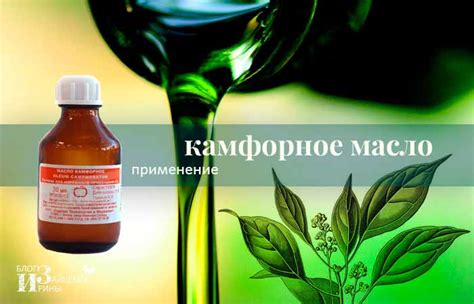 Уникальный раздел: Натуральное происхождение камфорного масла
