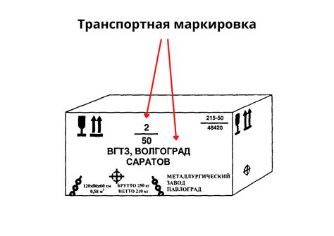 Упаковка груза в соответствии с требованиями доставочной компании DPD