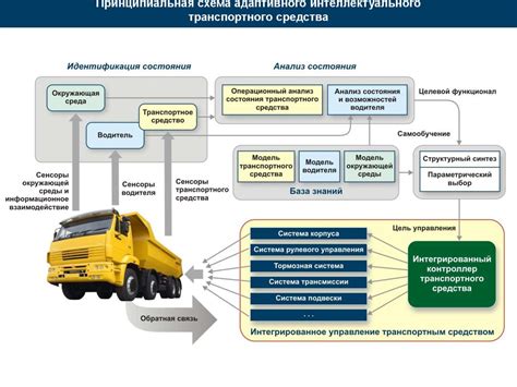 Управление автомобилем: главная роль головы в вождении
