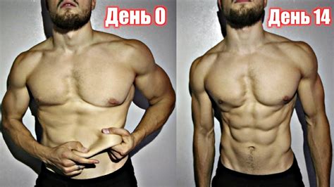Управление количеством питания для достижения желаемой формы тела