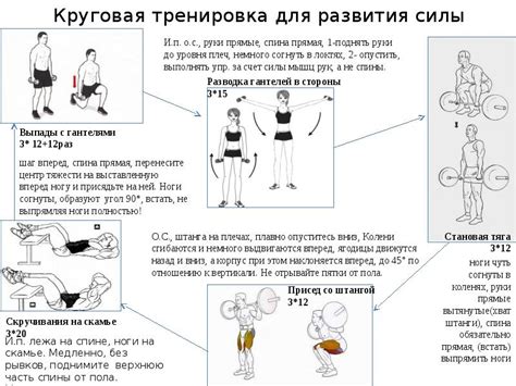 Упражнения для развития силы в верхних конечностях с использованием гирь и гантелей