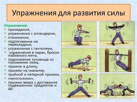 Упражнения для развития силы и выносливости