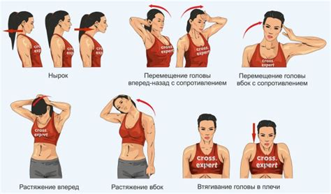 Упражнения для тренировки мышц лица и шеи