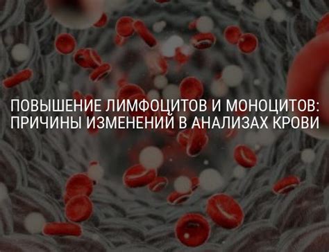 Уровень лимфоцитов и моноцитов в крови: возможные причины повышения