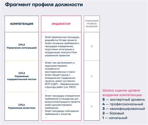 Уровень профессиональных навыков и компетенций