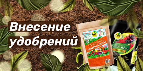 Установка базы наклона на самокате: важные шаги и рекомендации