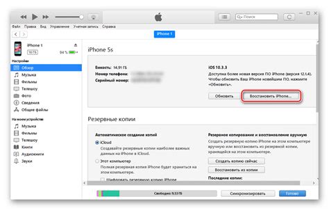 Установка бастиона на iPhone с помощью iTunes