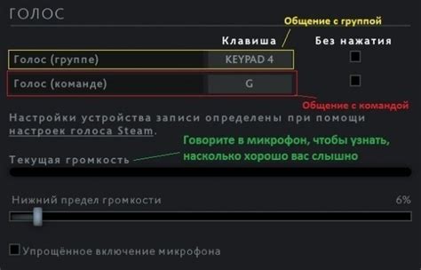 Установка возможности коммуникации через голосовой канал в игре Dota 2 на игровых платформах