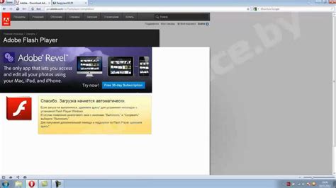 Установка и настройка Adobe Flash Player