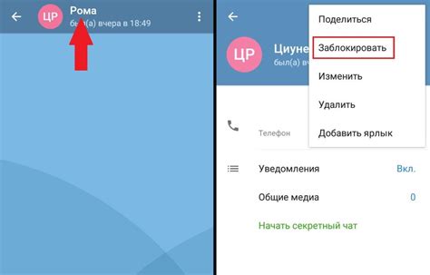 Установка мессенджера Telegram на ваше устройство: пошаговая инструкция