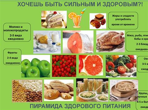Установка режима питания: залог здорового аппетита