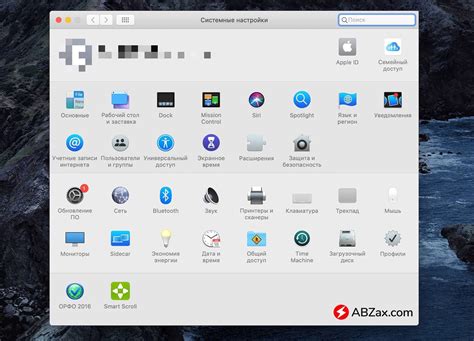 Установка Lusha на операционную систему macOS