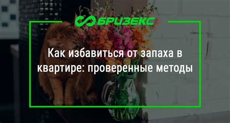 Устранение неприятного запаха на привозном мясе: проверенные методы