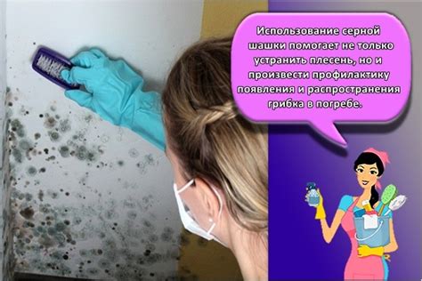 Устранение появления грибка в шкафу: главные этапы и рекомендации