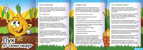 Устройство Недуг ультраброни