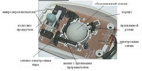 Устройство и принцип работы основной кнопки мыши