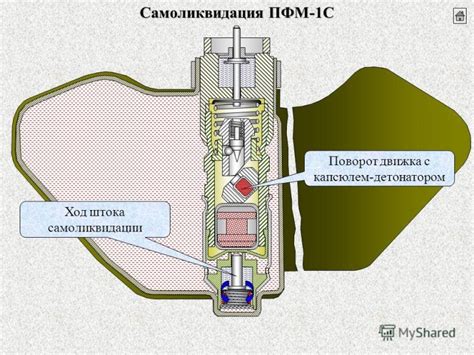 Устройство лепестка: суть и основные аспекты