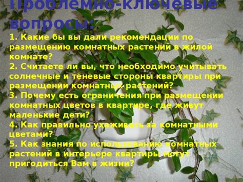 Уход за святыней и рекомендации по ее размещению в интерьере