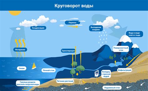 Учет близости источников воды