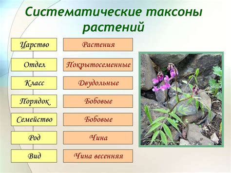 Учет особенностей различных видов растений и животных