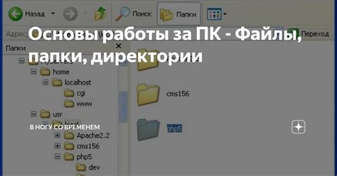 Файлы и папки главной директории