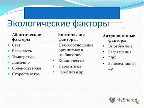 Факторы, воздействующие на выбор М или ПМ