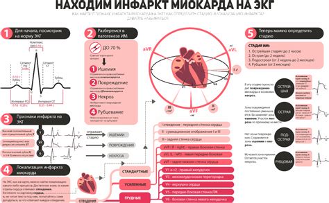 Физикальное обследование, УЗИ сердца, ЭКГ и другие методы