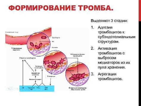 Физиологическая реакция организма на аромат загорелой эластомерной материи