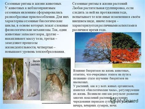 Физиологические механизмы возбудимости у животных и растений