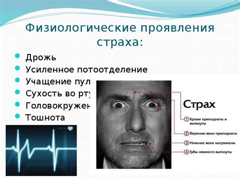Физиологические проявления страха: как тело реагирует на неблагоприятные ситуации
