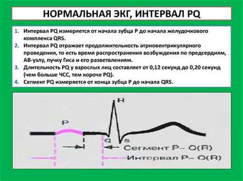 Физиологические факторы, влияющие на интервал PQ: обзор и анализ