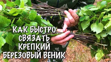 Физиологические эффекты от применения березового веника