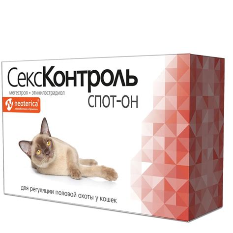 Физические проявления в организме кошек в период течки