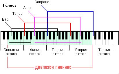 Физические требования к развитию голоса 4 октавы