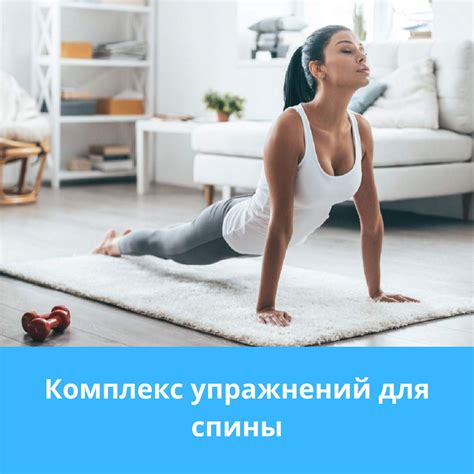 Физические упражнения и тренировки: ключевая составляющая восстановления питомца