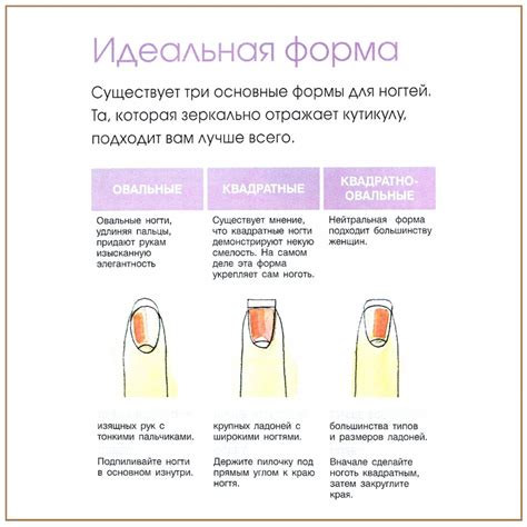 Форма и пропорции ногтей: идеальное сочетание эстетики и удобства