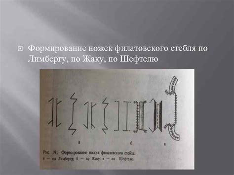 Формирование ножек и глаз: следуйте схеме