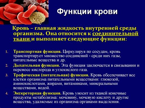 Функции гликозаминогликанов в организме