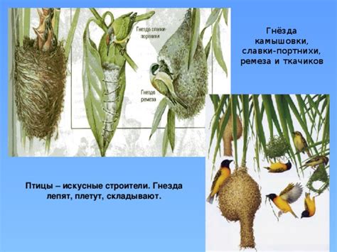 Функции гнезда ремеза