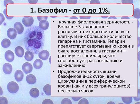 Функции лейкоцитов в организме