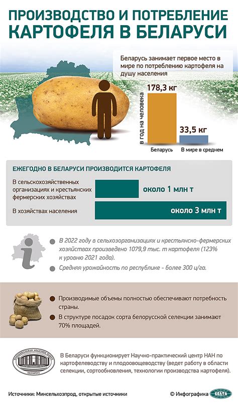 Хранение и потребление домашнего продукта
