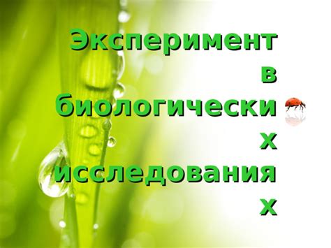 Целочисленные значения в биологических исследованиях: концепция и импортантность