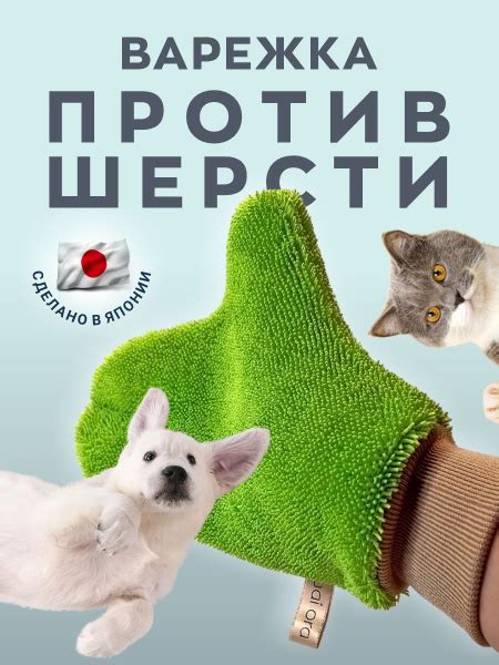 Часто задаваемые вопросы о процедурах мытья и ухода за шерстью у вашего пушистого спутника